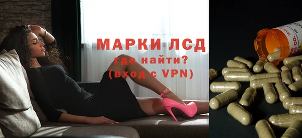 PSILOCYBIN Алексеевка