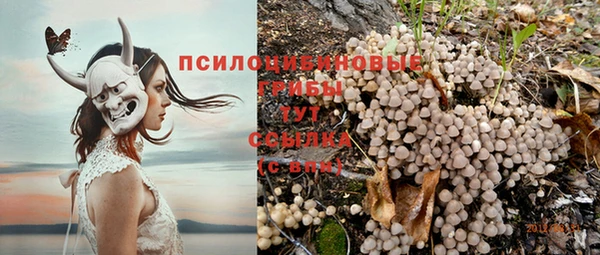 PSILOCYBIN Алексеевка
