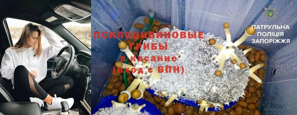 PSILOCYBIN Алексеевка