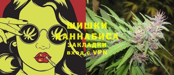 МДПВ Алзамай