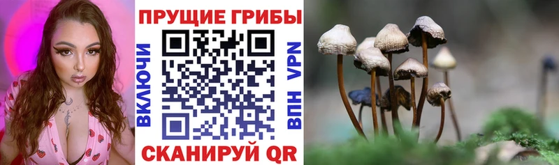 Псилоцибиновые грибы Magic Shrooms Харовск